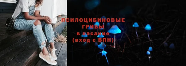 спайс Белокуриха