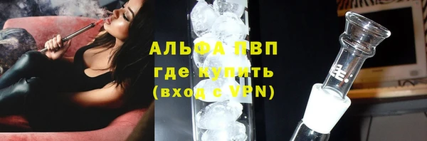 мяу мяу мука Беломорск