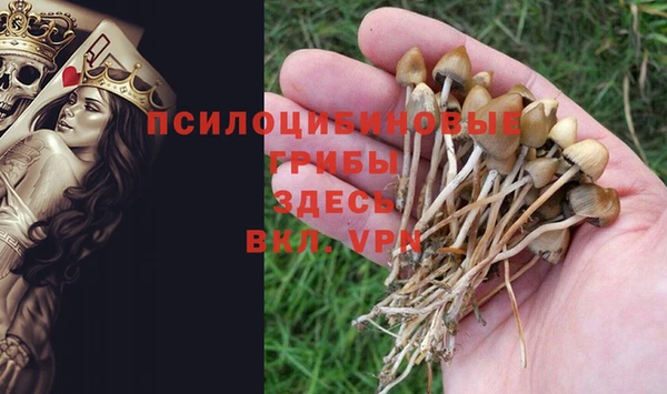мяу мяу мука Беломорск