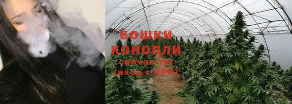 спайс Белокуриха