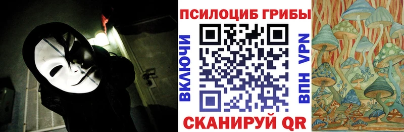 Псилоцибиновые грибы GOLDEN TEACHER  MEGA как зайти  Петрозаводск 