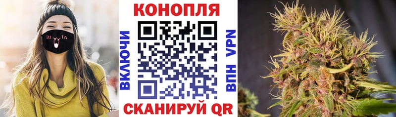 KRAKEN ССЫЛКА  наркошоп  Петрозаводск  Каннабис AK-47 